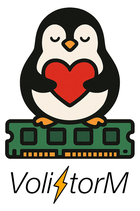 VoliStorM: A Crash-Consistent I/O Cache with Two Kernels Instead of Two Caches